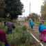 30.09.2017 в ГУЗ “Ефремовская районная больница имени А. И. Козлова” состоялся субботник. - Районная больница