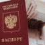 Взялся за куш, да оказался не дюж… - Газета Заря