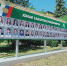 Новые яркие имена - Газета Заря