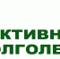 Активное долголетие в августе - Управление по культуре, молодежной политике, физкультуре и спорту
